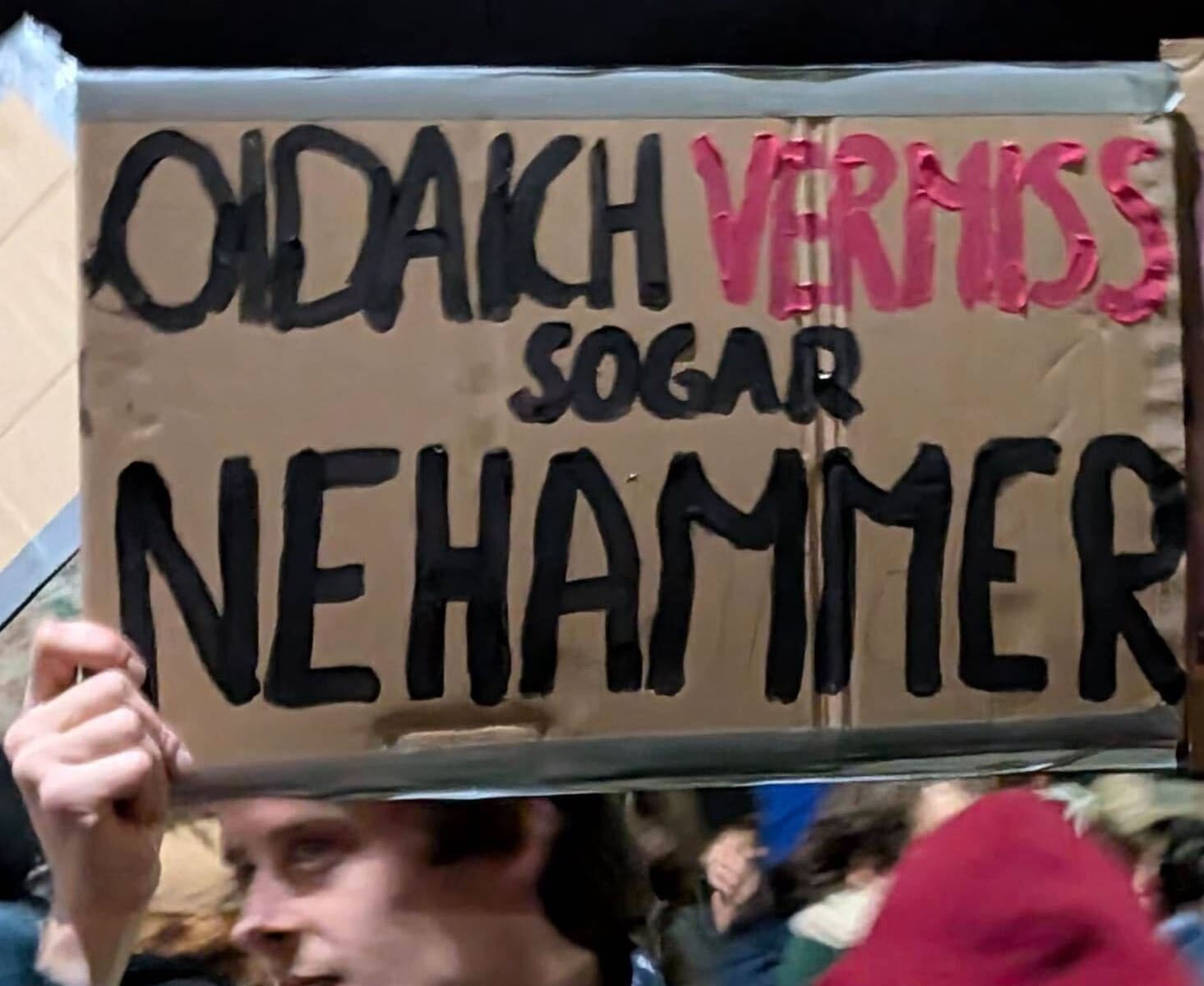 „Oida, ich vermiss sogar Nehammer“